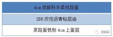 金山漕廊公路半柔性路面应用 现场图 2